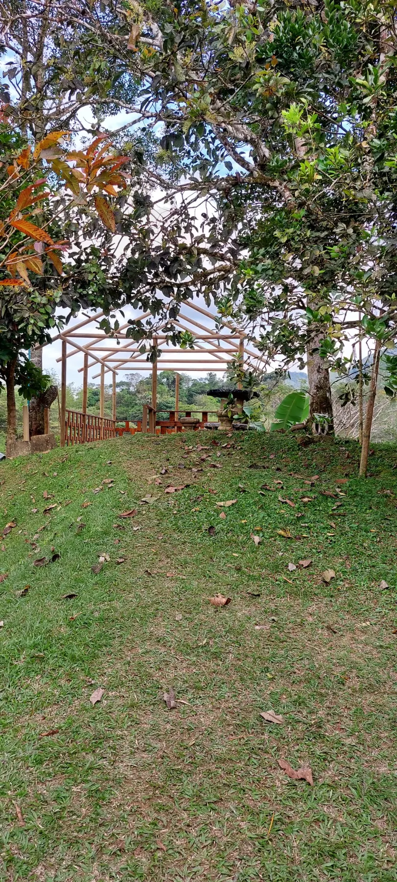 Elevated Scenic Deck